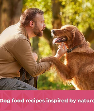 Nature's Recipe Grain Free Salmon, Sweet Potato, and Pumpkin Recipe Wet Dog Food, 13 oz. Can, 12 Count