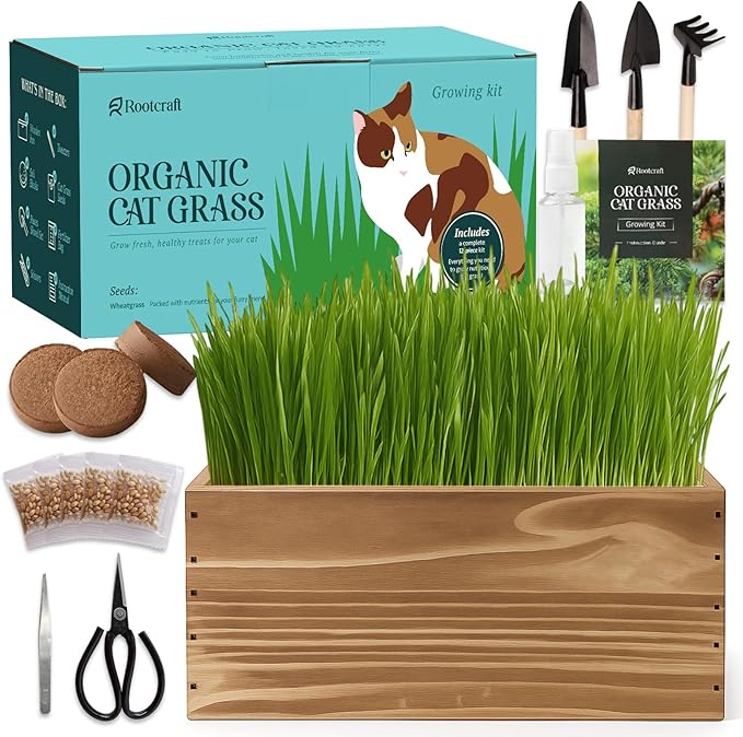5-Pack Cat Grass Kit for Indoor Cats with Wood Planter, Grow Organic Non-GMO Wheat Grass in 4-7 Days, Aids Digestion & Hairball Control, Ideal Birthday Gift for Cat Lovers