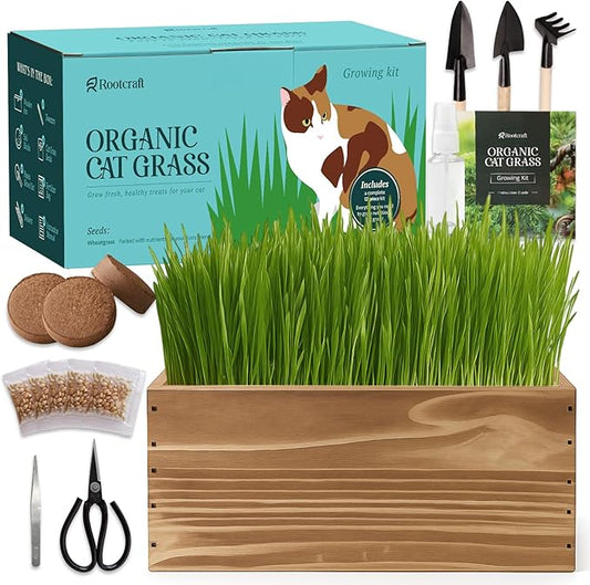 5-Pack Cat Grass Kit for Indoor Cats with Wood Planter, Grow Organic Non-GMO Wheat Grass in 4-7 Days, Aids Digestion & Hairball Control, Ideal Birthday Gift for Cat Lovers