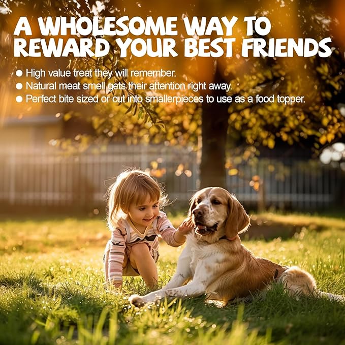 ASMPET Duck Jerky Tender Dog Treats, Made with 100% Real Duck Breast, High Protein & Low Fat, No Artificial Colors