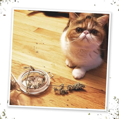 Meowijuana | Dried Catnip Buds Jar | Premium Organic Catnip | Grown in North America | Perfect for Cat Toys | Fresh Catnip for Extended Playtime | Elevate Your Cat's Enjoyment
