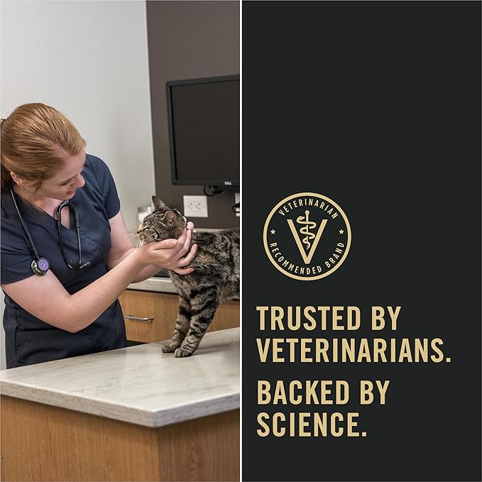 Purina Pro Plan Sensitive Skin and Stomach Dry Cat Food Turkey and Oat Meal Formula - 12.5 lb. Bag