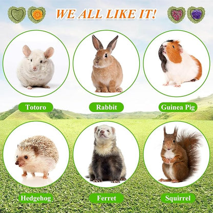 20PCS Bunny Chew Toys, Rabbit Toys for Bunny's Teeth, Chinchilla, Hamster, Guinea Pig & Pig, Organic Timothy Hay Cakes for Teeth Grinding & Dental Health