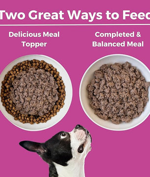 KOHA Limited Ingredient Diet Pork Entrée for Dogs- Sensitive Stomach Canned Dog Food - High Protein, No Fillers Pate Dog Food - 13 oz Pack of 12
