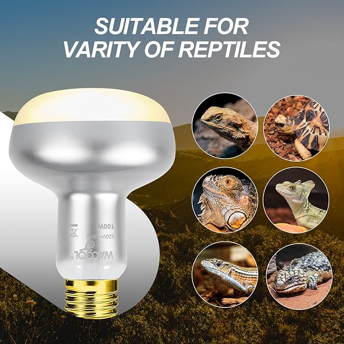 WACOOL 4 Pack Heat Lamp Bulbs for Reptiles, 100W Intense Basking Spot Lights, Simulate Daytime Sunshine Heat Bulbs, UVA Daylight Heat Lamp for Bearded Dragon, Lizard, Turtle, Tortoise, Gecko