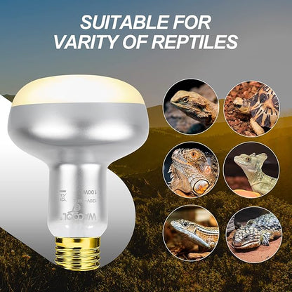 WACOOL 4 Pack Heat Lamp Bulbs for Reptiles, 100W Intense Basking Spot Lights, Simulate Daytime Sunshine Heat Bulbs, UVA Daylight Heat Lamp for Bearded Dragon, Lizard, Turtle, Tortoise, Gecko