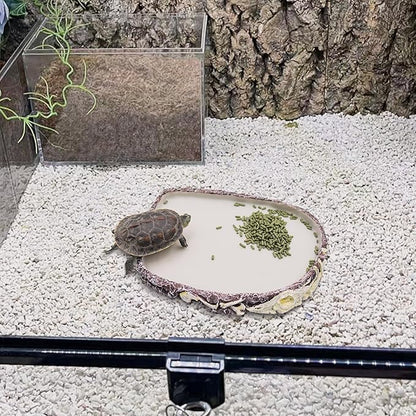 Bearded Dragon Food Bowl Water Dish, Resin Reptile Feeder Kit, Tank Aquarium Terrarium Accessories, Feeding Bowl for Amphibian Hermit Crab Turtle Lizard Chameleon Frog - 8 × 6 × 0.8 inch