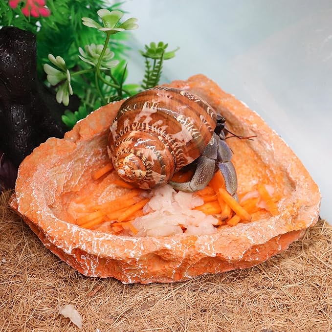3 Pack Resin Reptile Dish for Food and Water, Hermit Crab Accessories, Hermit Crab Supplies, Hermit Crab Water Bowl, Habitat Accessories for Hermit Crab, Bearded Dragon, Gecko, Tortoise