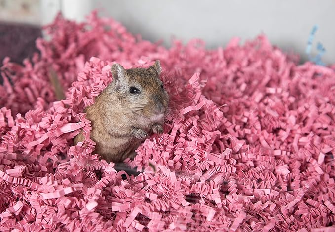 ECO BEDDING 99% Dust Free Paper Bedding for Small Pets and Birds, Pink, 3 lb (Expands to 60 L)