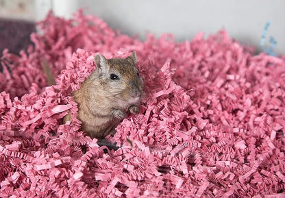 ECO BEDDING 99% Dust Free Paper Bedding for Small Pets and Birds, Pink, 3 lb (Expands to 60 L)