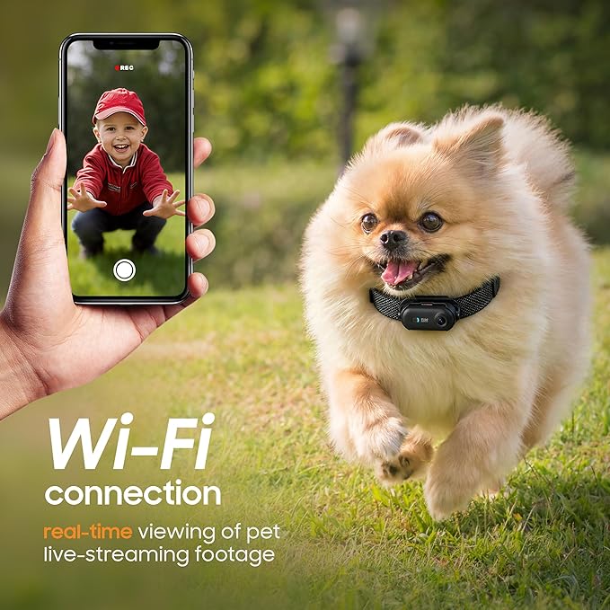 4K UHD Dog& Cat Pet Camera Collar, Video Recorder with Phone App Live View, Outdoor & Indoor POV Action Cam for Small and Medium-Size Dogs(White - Black Nylon Collar - M, 128g)