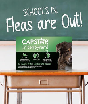 CAPSTAR Oral Flea Treatment for Dogs, Fast Acting Tablets Start Killing Fleas in 30 Minutes, Medium & Large Dogs (Over 25 lbs), 6 Doses