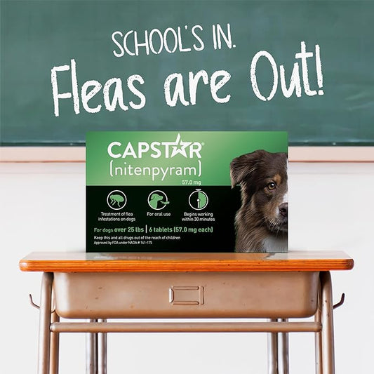 CAPSTAR Oral Flea Treatment for Dogs, Fast Acting Tablets Start Killing Fleas in 30 Minutes, Medium & Large Dogs (Over 25 lbs), 6 Doses