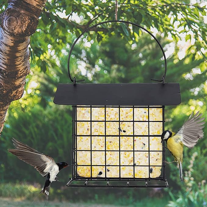 winemana Suet Feeder for Outside Hanging, Metal Suet Cake Holder Squirrel Proof, Weatherproof Bird Feeders for Wild Birds Woodpecker, Single Suet Cage for Outdoor Garden