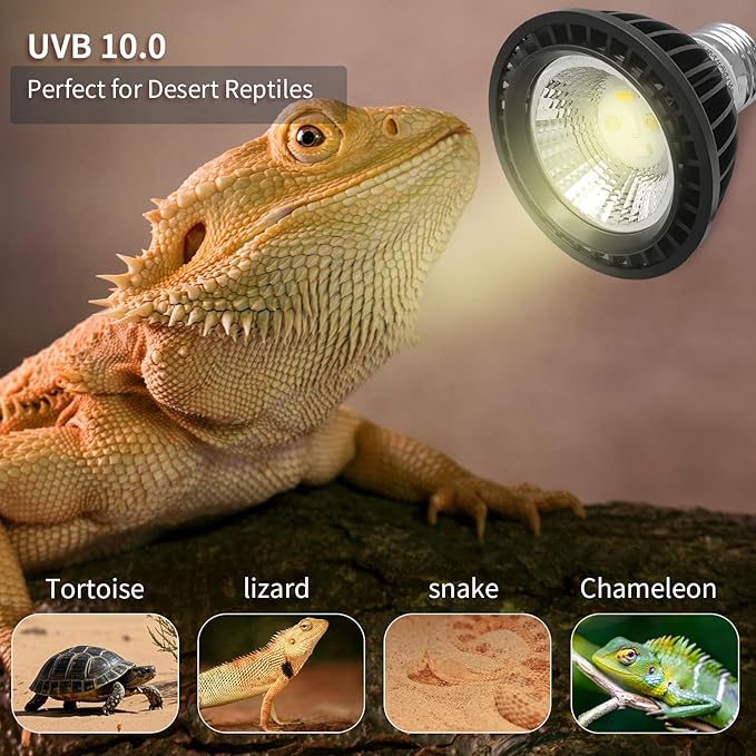 UVB Light Bulb for Reptiles, LED 3W 5.0 UVA UVB Heat Lamp Bulbs Ideal for Rainforest Reptiles, Bearded Dragons Lizard Turtle Tortoise Iguanas Chameleons Snake (2 Pack)