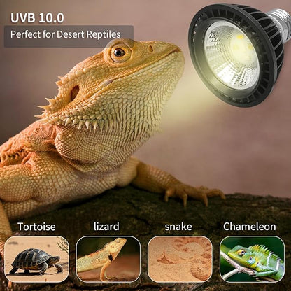 UVB Light Bulb for Reptiles, LED 3W 5.0 UVA UVB Heat Lamp Bulbs Ideal for Rainforest Reptiles, Bearded Dragons Lizard Turtle Tortoise Iguanas Chameleons Snake (1 Pack)