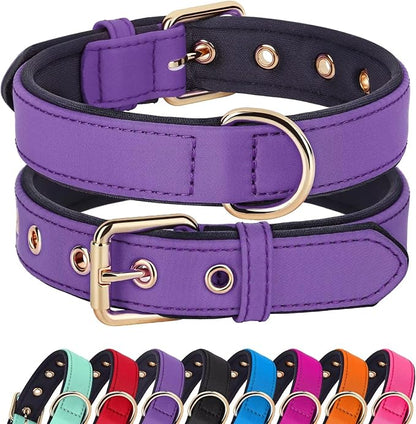 Didog Soft Padded Dog Collars for Small Dogs, Lightweight and Breathable Dog Collar with Metal Buckle for Puppy, Purple, S