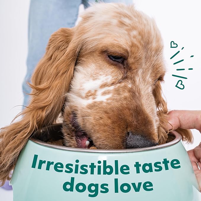 Optimeal Wet Dog Food Variety Pack - Grain Free Recipe High Protein Tender Morsels in Aspic Made with Natural Ingredients for Adult Small Breed Dogs, Premium Nutrition Pouches - 3oz Pouch (Pack of 12)