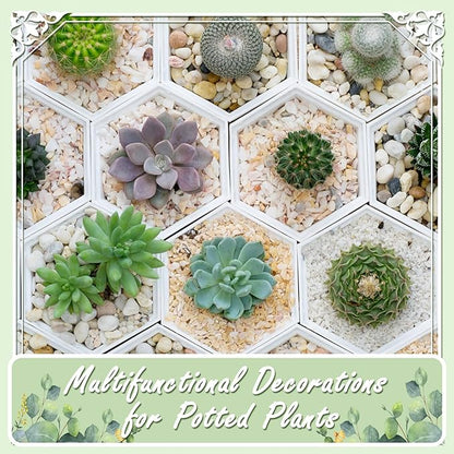 11lbs Natural River Rocks, High-Polished Pebbles for Plants Garden, 1-2 inch Decorative Stones, Ideal for Fish Tank, Vases, Garden Landscaping Rocks Landscaping, Black