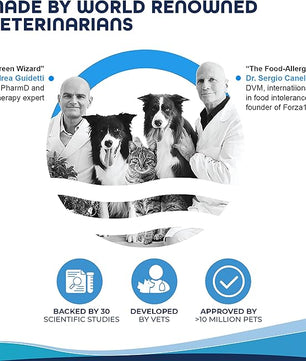Forza10 Kidney Care Dog Food – Renal Support Wet Dog Food with Lamb, Low Protein & Phosphorus Formula, Sensitive Stomach, 3.5 oz Cans, 4 Pack – Vet Formulated, Made in Italy