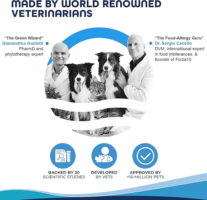Forza10 Kidney Care Dog Food – Renal Support Wet Dog Food with Lamb, Low Protein & Phosphorus Formula, Sensitive Stomach, 3.5 oz Cans, 4 Pack – Vet Formulated, Made in Italy