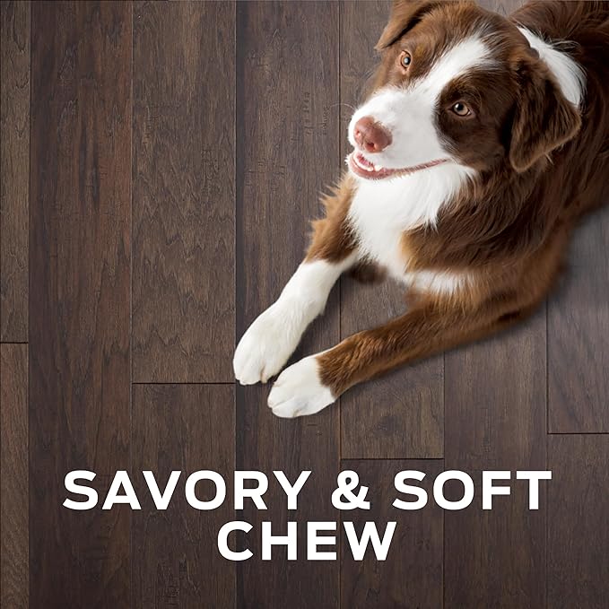 Pro Plan Veterinary Diets Purina Digestive Health Bites Dog Treat Chews - 16 oz. Pouch