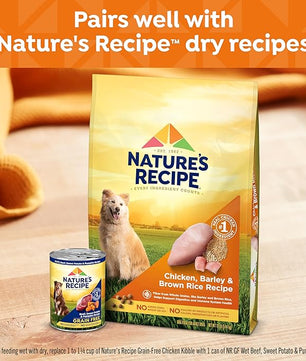Nature's Recipe Grain Free Beef, Sweet Potato, and Pumpkin Recipe Wet Dog Food, 13 oz. Can, 12 Count