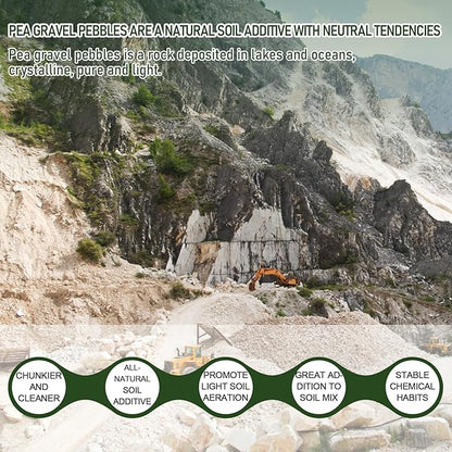 5 LBS White Pea Gravel, Natural Succulent and Cactus Gravel Pebbles, Pebbles for Indoor Plants, Natural Gardens Mulching, for Houseplants, for Aquarium Gravel, to Maintain Soil Aeration(4-6mm)