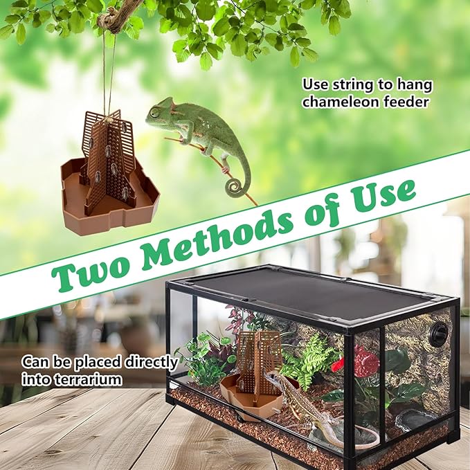 2 PCS Chameleon Feeding Bowl Hanging Bearded Dragon Feeder Bug Bowls with Rope and Tweezers Mounted Insect Reptile Feeder Box for Lizard Gecko Frog (Brown,Large)