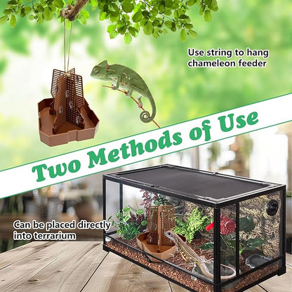 2 PCS Chameleon Feeding Bowl Hanging Bearded Dragon Feeder Bug Bowls with Rope and Tweezers Mounted Insect Reptile Feeder Box for Lizard Gecko Frog (Brown,Large)