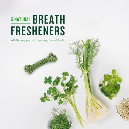 Minties Dental Chews for Dogs, 40 Count, Vet-Recommended Mint-Flavored Treats for Tiny/Small Dogs 5-24 lbs, Dental Bones Clean Teeth, Fight Bad Breath, and Removes Plaque and Tartar