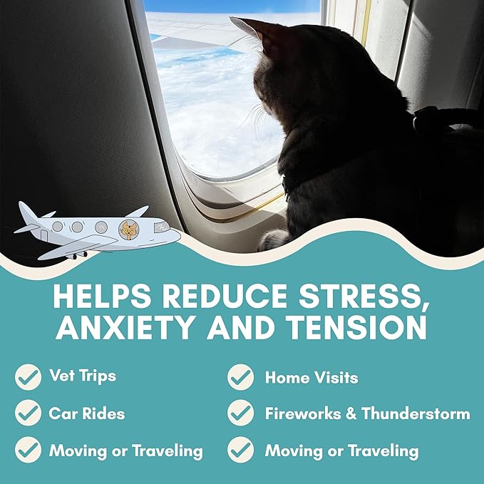 ALBERT & MIA Calming Sticks Lickable Cat Calming Treats - Stress & Cats Anxiety Relief - Irresistible - Vet Cat Calm Supplement Care (Kitten Sleep Aid, Grooming, Car Rides, Travel) 20 Pack