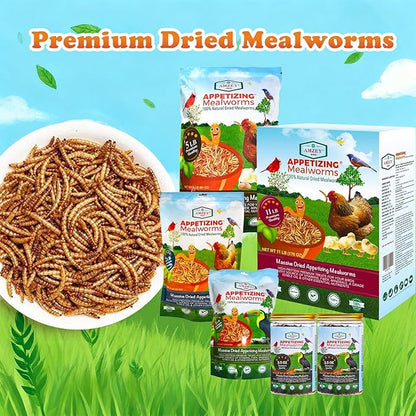 Amzey Dried Mealworms- 3.5 oz(2 Pack)- High Protein Non GMO Mealworms - Great for Turtle Food, Bird Food, Cockatiel Food, Lizard Food, Snake Food, Iguana Food, Sulcata Tortoise Diet- 3.5oz (2 Pack)