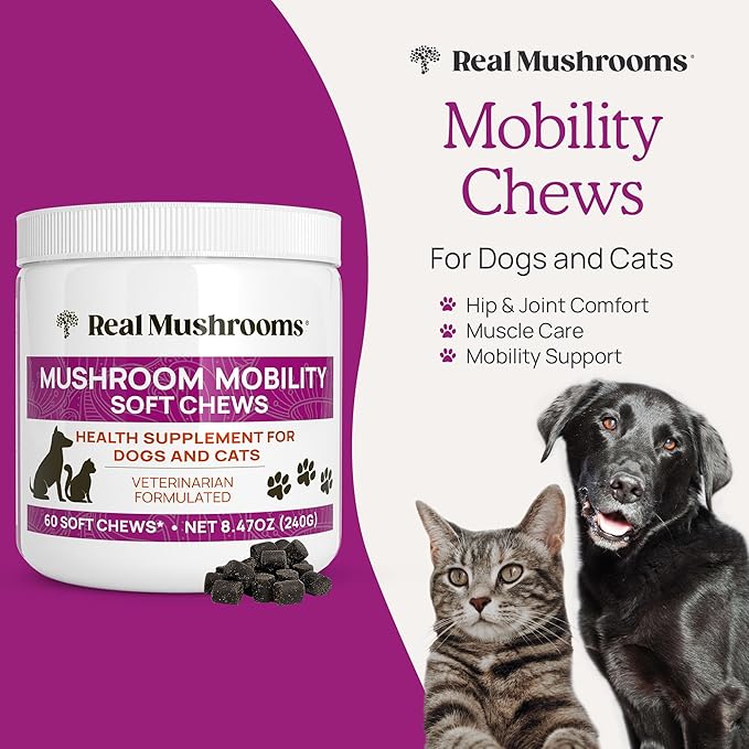 Real Mushrooms Mobility Chews for Dogs & Cats – Green Lipped Mussel & ErgoGold Mushroom Blend – Dogs & Cat Vitamins Treats for Active Routines – Joint, Hip & Flexibility Support – 240 ct Supplement
