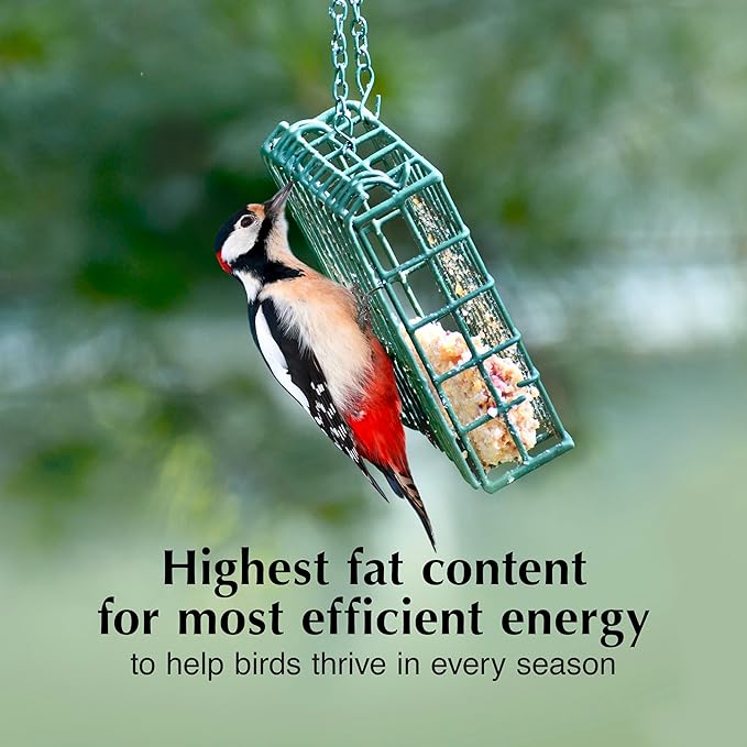 C&S Insect Suet Treat, Suet Cakes for Wild Birds, 11.75 Ounces, Pack of 8