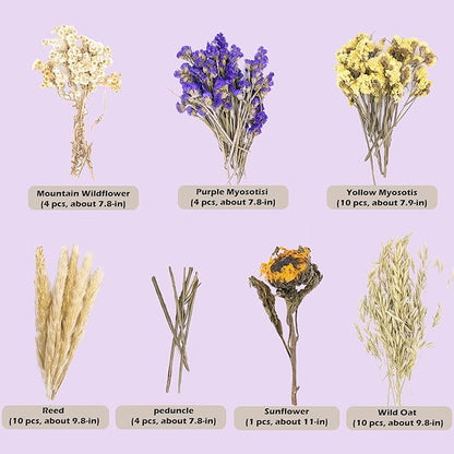 Natural Ear of Grain Flower&Herb Bedding Mate Habitat Decor, Adding Fun Hamster Accessories for Hamsters Gerbils Lemming