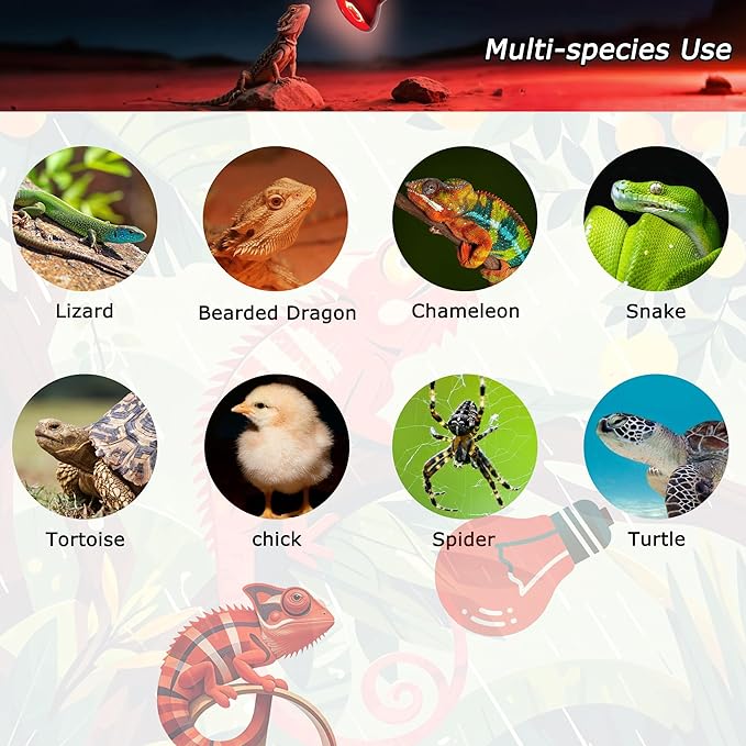 75W Compact Infrared Red Basking Spot Light Bulb – Promotes Healthy Growth, Vitality & Heat Support, Ideal Heat Lamp for Reptiles & Amphibians, Bearded Dragons, Turtles, Snakes, Chicks, 2.5"