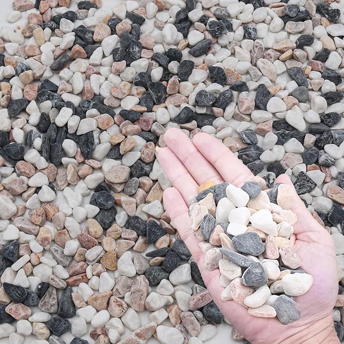 3LB Succulent & Cactus Gravel Pebbles,1/4-3/8 Inch Natural Polished River Rocks Decorative Stones for Succulent Planters,Cactus Pots,Vases,Aquariums,Outdoor Gardening Mixed Colors