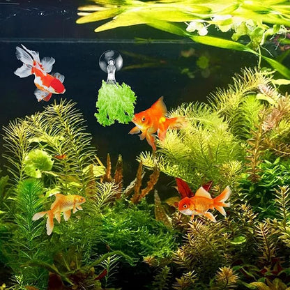 AccEncyc 12Pcs Veggie Clips Aquarium Seaweed Clips Fish Food Holder Wide Mouth Clips Plants Suction Cups Algae Clips for Freshwater and Marine Fish Tank (Plastic)