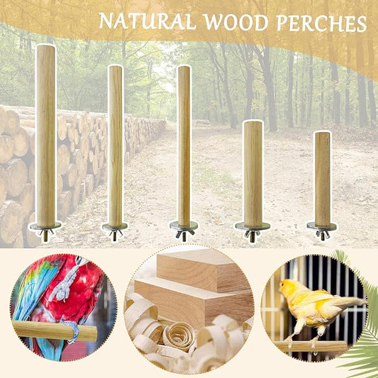 S&X Bird Perch, 5 PCS of Natural Wood Perches with Different Widths and Lengths for Budgies, Parakeets, Canaries, Cockatiels, Conures, Finches & Other Small Birds