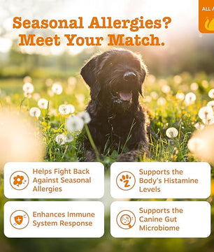 Zesty Paws Dog Allergy Relief- Dog Itching Skin Relief- Dog Probiotics for Itchy Skin and Itchy Ears- Dog Allergy Paw Relief- Dog Allergy Chews- Dog Itch Relief - Dog Skin Allergy Relief - PB - 90ct