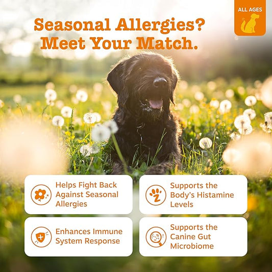 Zesty Paws Dog Allergy Relief- Dog Itching Skin Relief- Dog Probiotics for Itchy Skin and Itchy Ears- Dog Allergy Paw Relief- Dog Allergy Chews- Dog Itch Relief - Dog Skin Allergy Relief - PB - 90ct