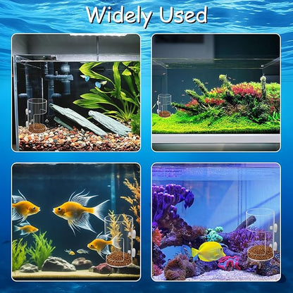 New Fish Tank Feeding Tray with Suction Cup, Feeding Tube Supplies, Tank Divider Supplies, Breeder Box for Aquarium, Round Aquariums & Fish Bowls Accessories
