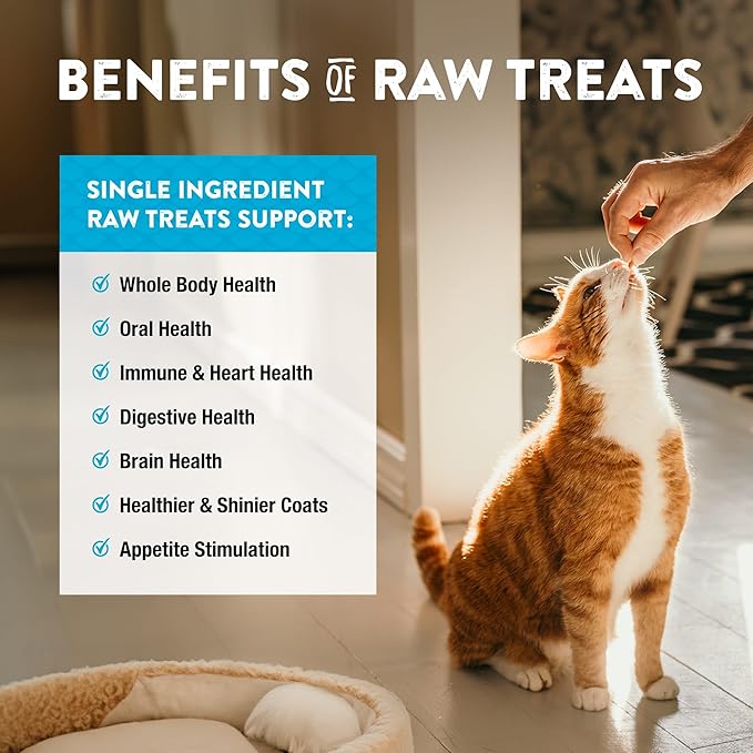 Northwest Naturals Raw Rewards Freeze-Dried Minnow Treats for Dogs and Cats - Bite Sized Pieces - Grain Free - 1 Ingredient - Healthy - Human Grade - All Natural - USA Made - 1 Oz