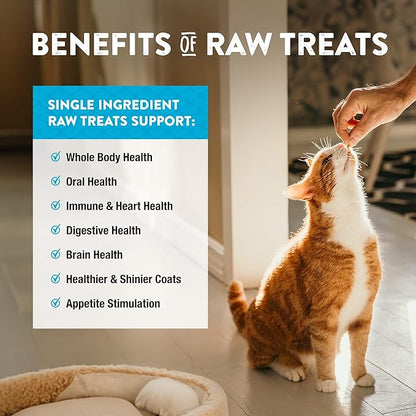 Northwest Naturals Raw Rewards Freeze-Dried Minnow Treats for Dogs and Cats - Bite Sized Pieces - Grain Free - 1 Ingredient - Healthy - Human Grade - All Natural - USA Made - 1 Oz