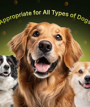 23-in-1 Multivitamin for Dogs – Soft Chews with Glucosamine, Chondroitin, MSM, Probiotics, Cranberry, Biotin, Zinc, Salmon Oil, Vitamins B, C, E – Hip & Joint, Skin, Digestive & Immune Support
