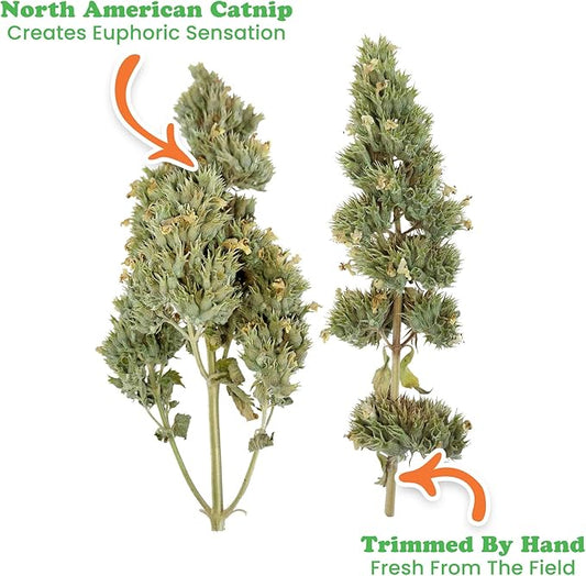 Meowijuana | Dried Catnip Buds Jar | Premium Organic Catnip | Grown in North America | Perfect for Cat Toys | Fresh Catnip for Extended Playtime | Elevate Your Cat's Enjoyment