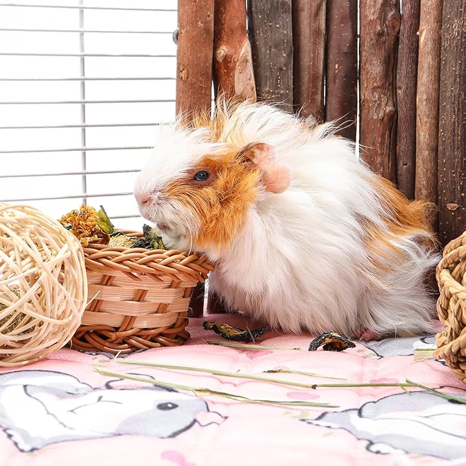 Guinea Pig Cage Liners Waterproof Guinea Pig Pee Pads, Digital Print Washable Reusable & Anti Slip Guinea Pig Bedding Fast and Super Absorb Water for Small Animals Rabbit Hamster Rat