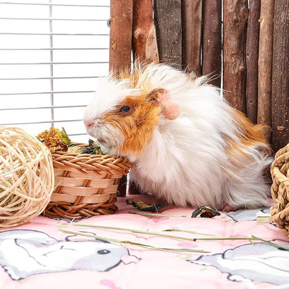 Guinea Pig Cage Liners Waterproof Guinea Pig Pee Pads, Digital Print Washable Reusable & Anti Slip Guinea Pig Bedding Fast and Super Absorb Water for Small Animals Rabbit Hamster Rat