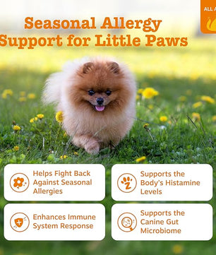 Zesty Paws Dog Allergy Relief Chews, Dog Probiotics for Itchy Skin and Ears, Lamb, Mini, 90ct